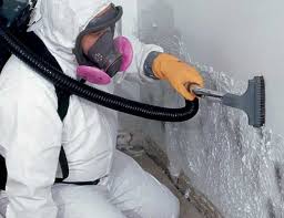 Best Mold Prevention Services  in Fowler, MI